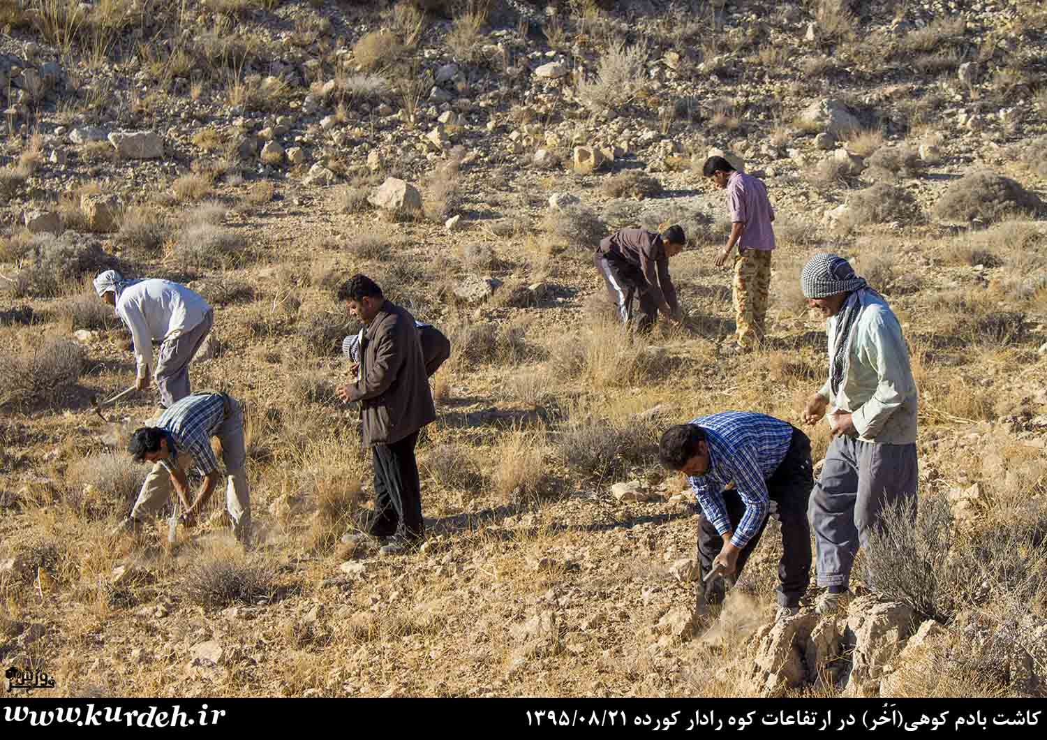 تصویر وجود ندارد